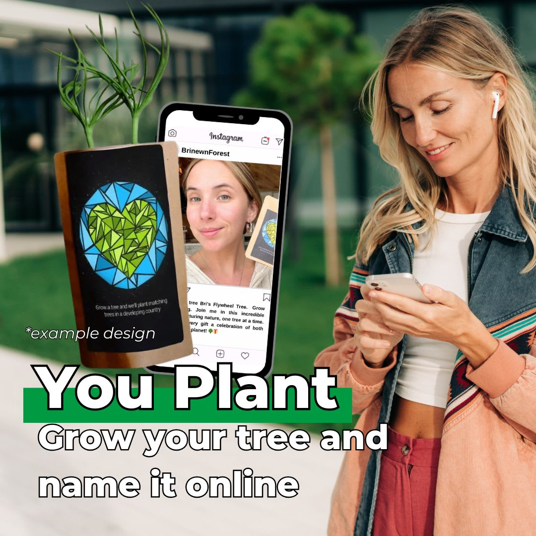 82480077